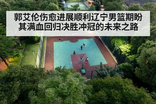 郭艾伦伤愈进展顺利辽宁男篮期盼其满血回归决胜冲冠的未来之路