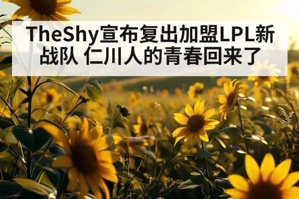TheShy宣布复出加盟LPL新战队 仁川人的青春回来了